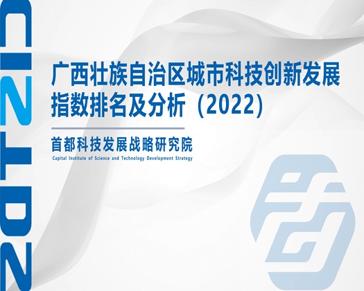 c逼软【成果发布】广西壮族自治区城市科技创新发展指数排名及分析（2022）